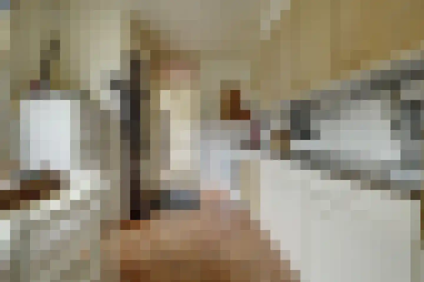 Händelstraat 7 Halsteren thumbnail 15