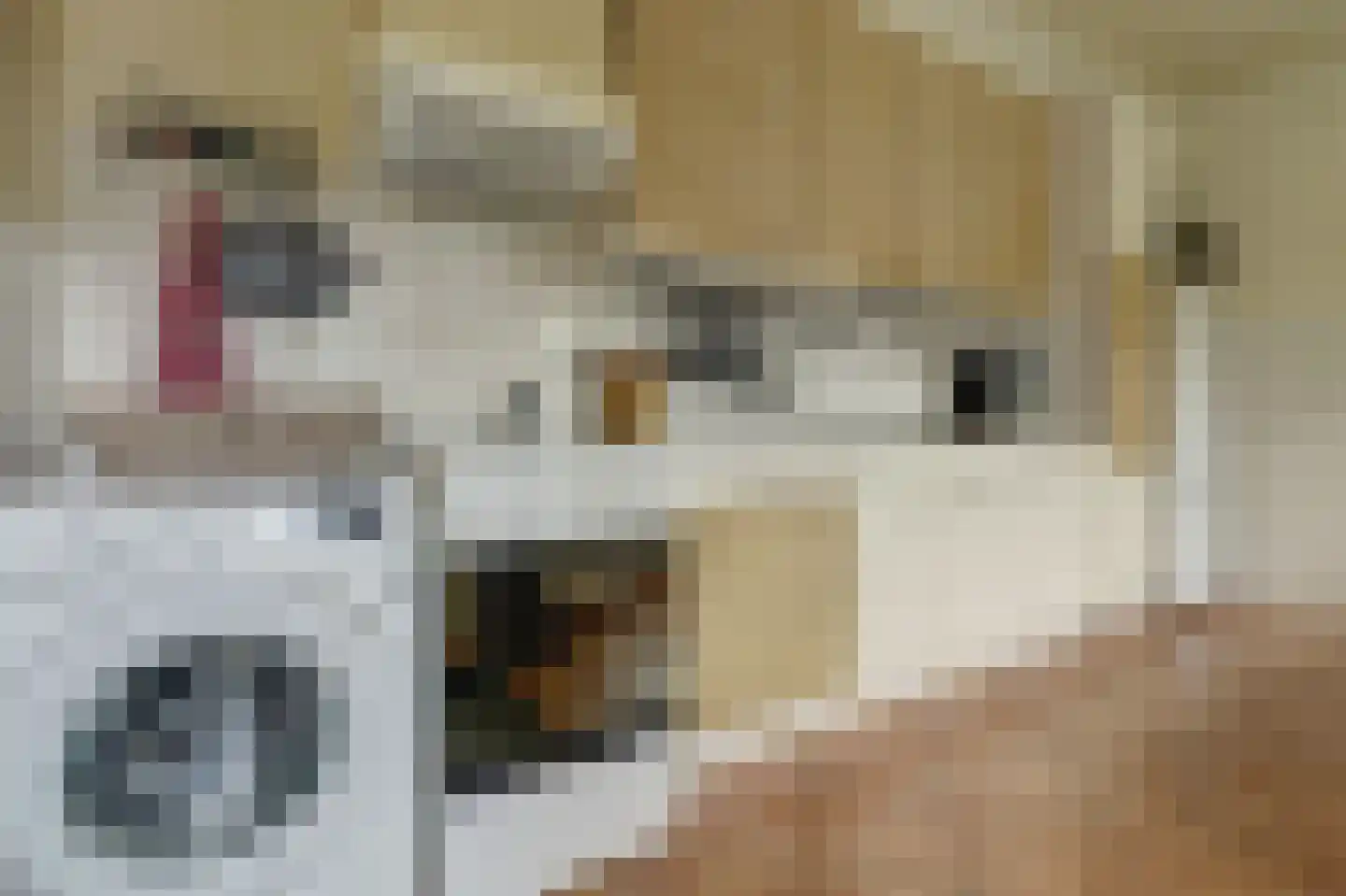 Händelstraat 7 Halsteren thumbnail 16