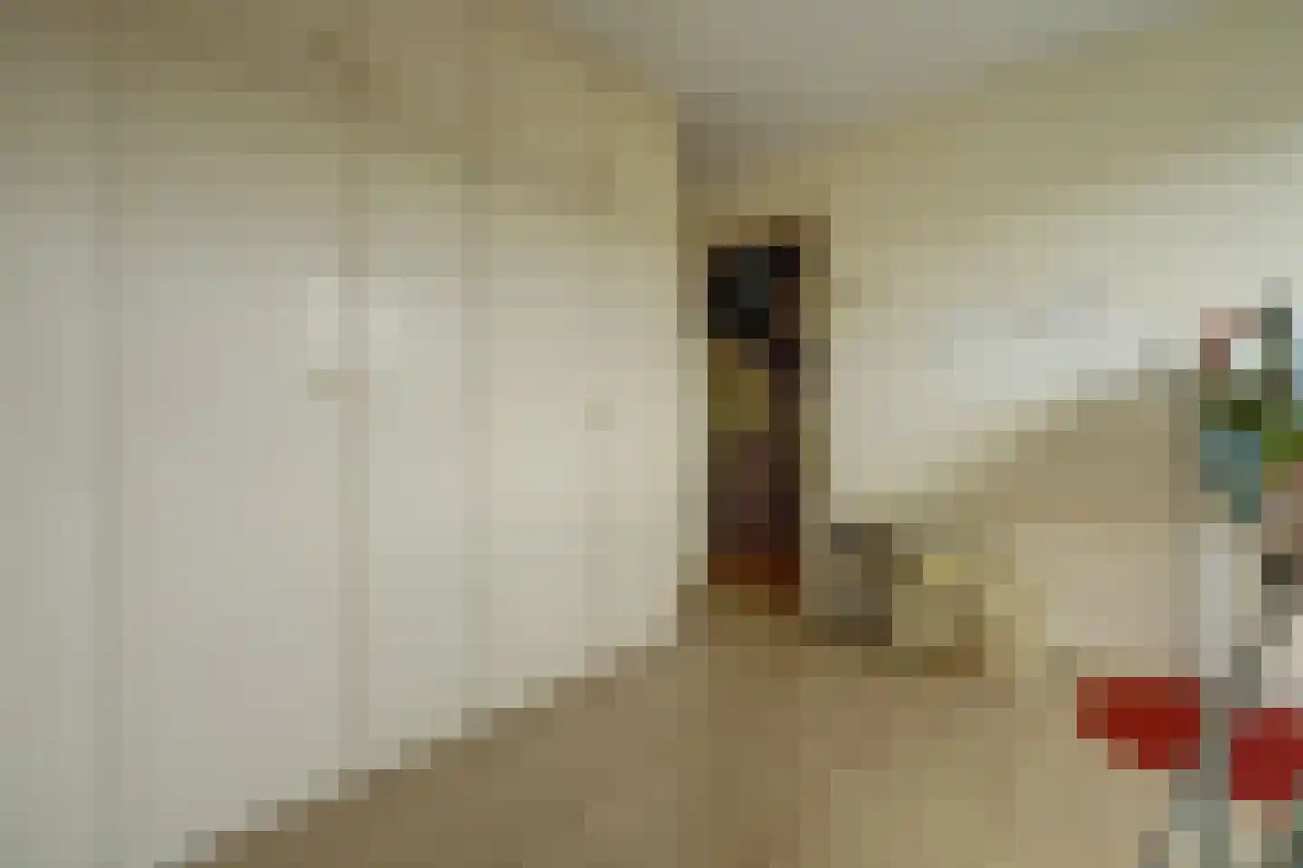 Händelstraat 7 Halsteren thumbnail 21