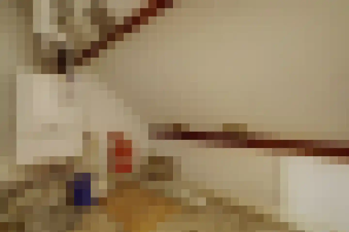 Händelstraat 7 Halsteren thumbnail 27