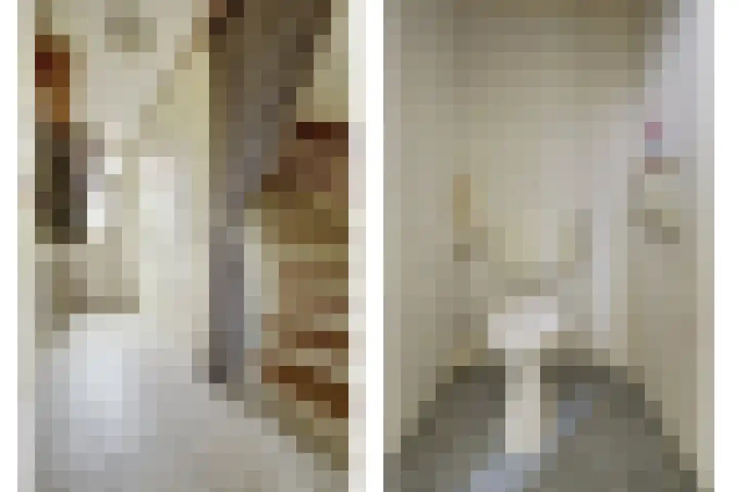 Händelstraat 7 Halsteren thumbnail 7