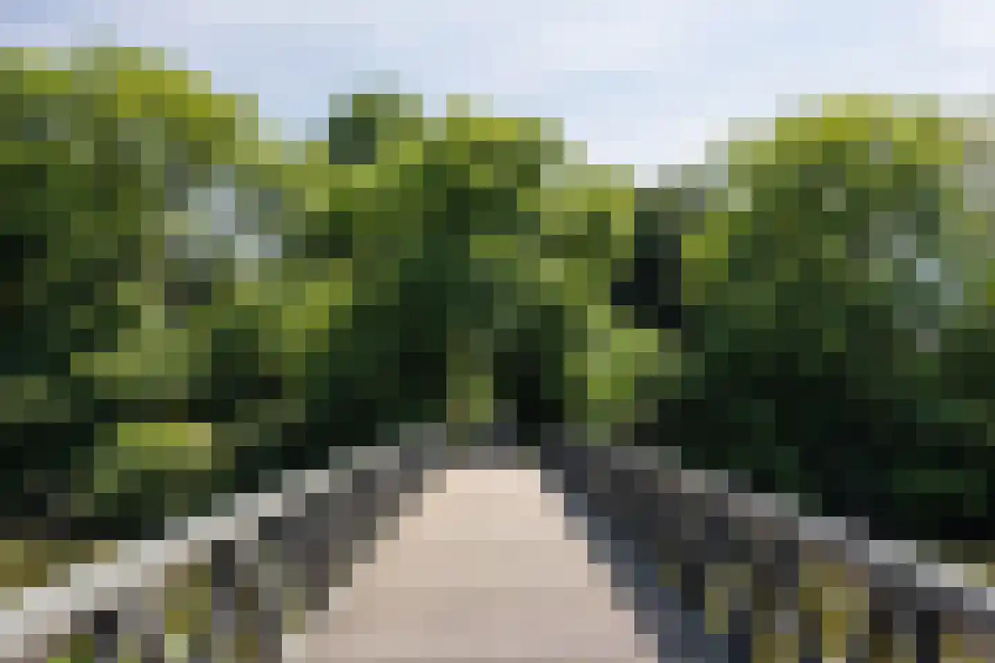 Händelstraat 71 's-Hertogenbosch thumbnail 46