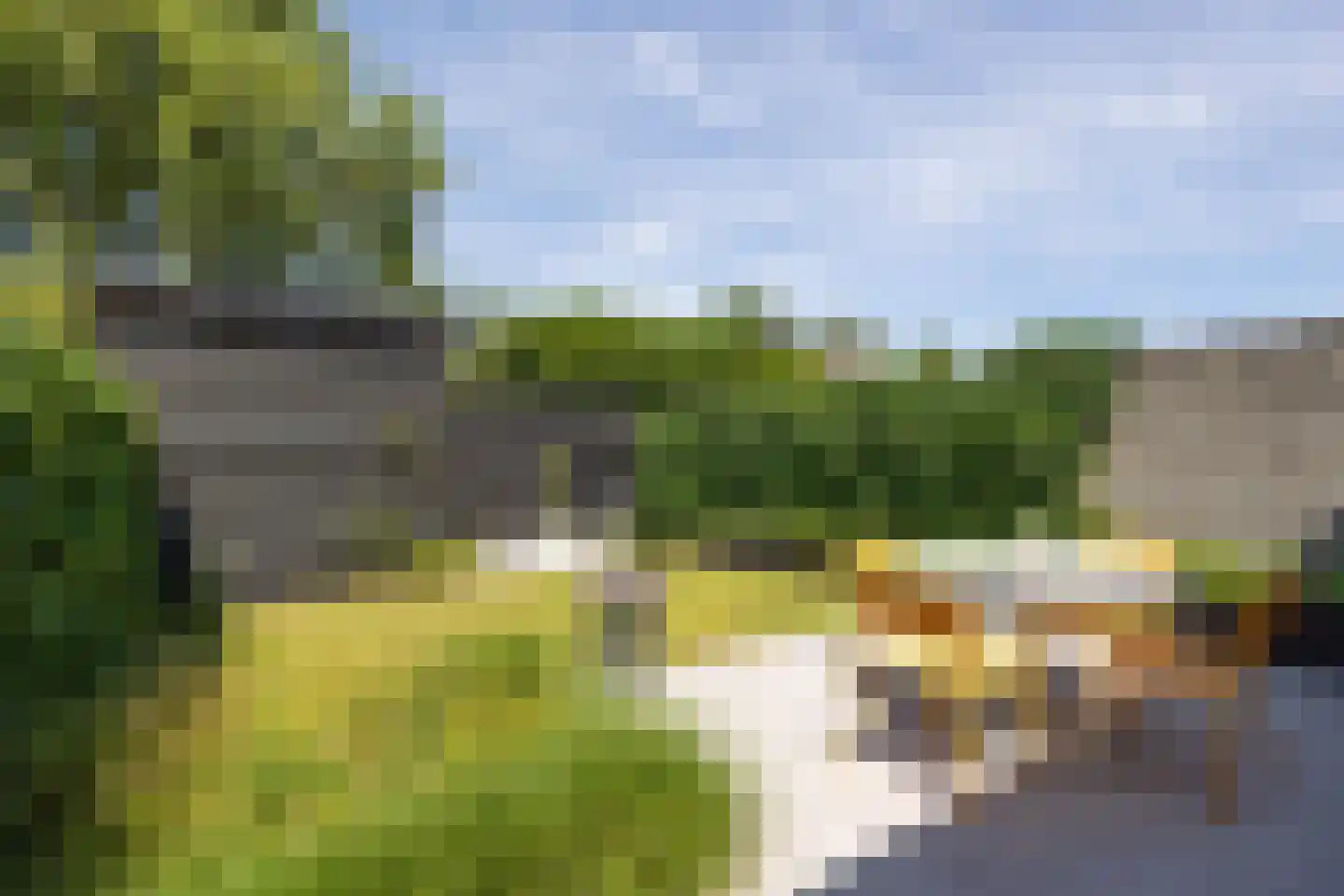 Händelstraat 71 's-Hertogenbosch thumbnail 9