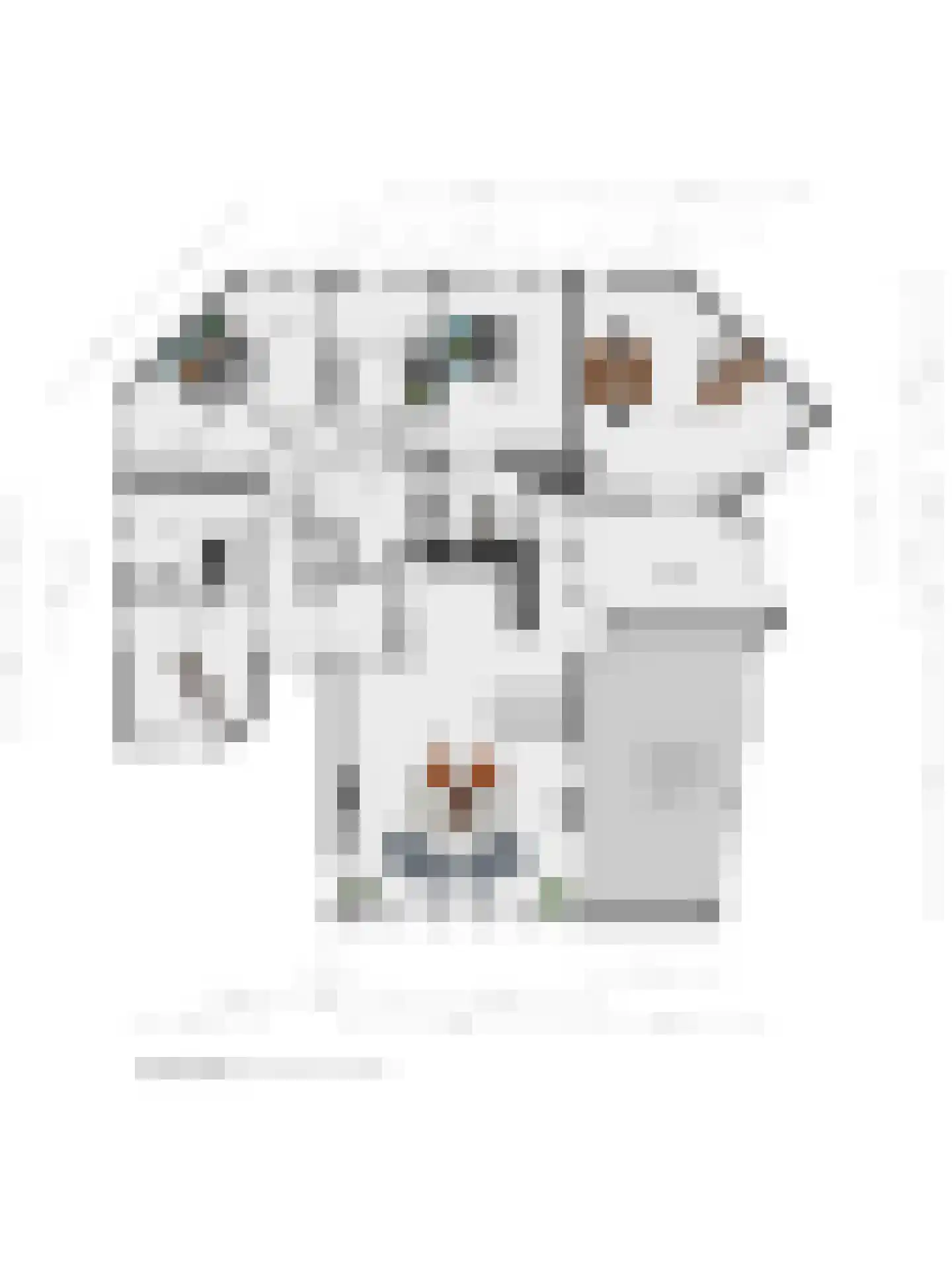 Handelsweg 13 Nijverdal thumbnail 28
