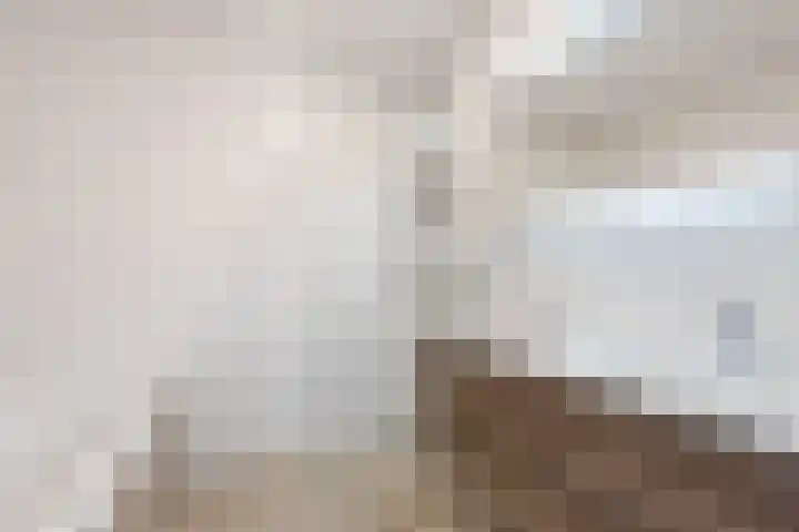 Handelsweg 16 Harderwijk thumbnail 28