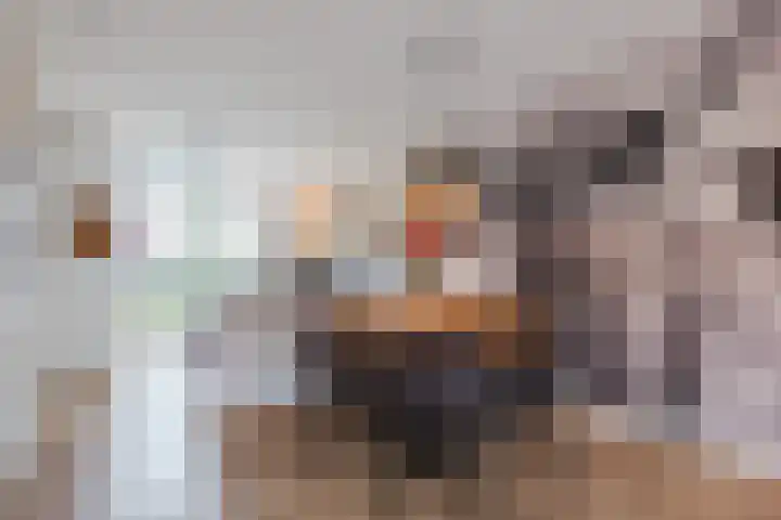 Handelsweg 16 Harderwijk thumbnail 4