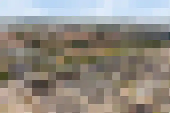 Handelsweg 16 Harderwijk thumbnail 54