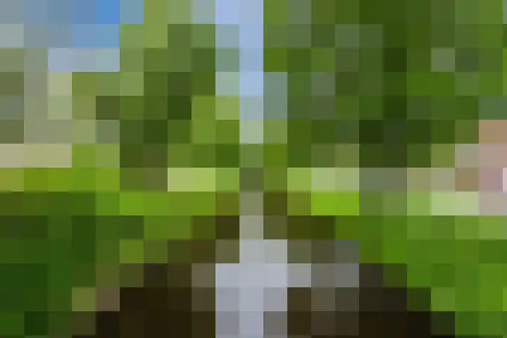 Handelsweg 16 Harderwijk thumbnail 56