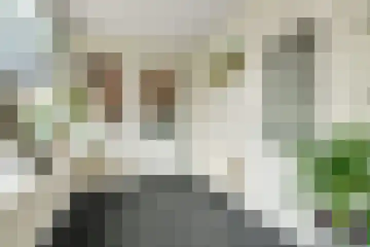 Handelsweg 20 Nijverdal thumbnail 11