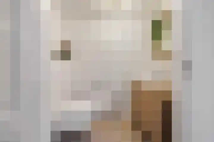 Handelsweg 20 Nijverdal thumbnail 12