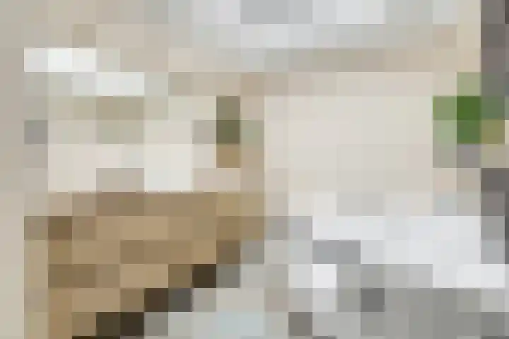 Handelsweg 20 Nijverdal thumbnail 13