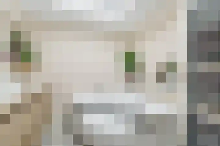 Handelsweg 20 Nijverdal thumbnail 15