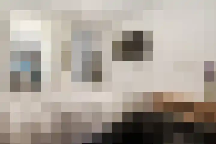 Handelsweg 20 Nijverdal thumbnail 18