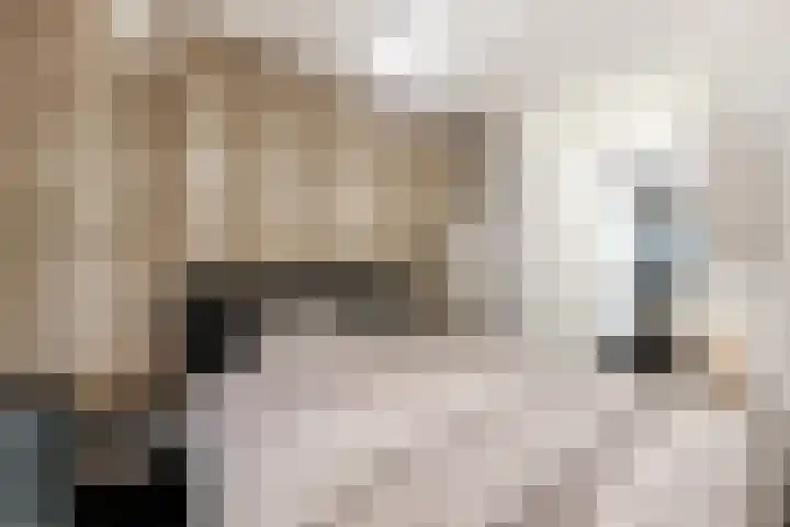 Handelsweg 20 Nijverdal thumbnail 19