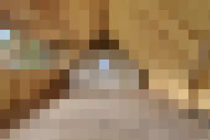 Handelsweg 20 Nijverdal thumbnail 25