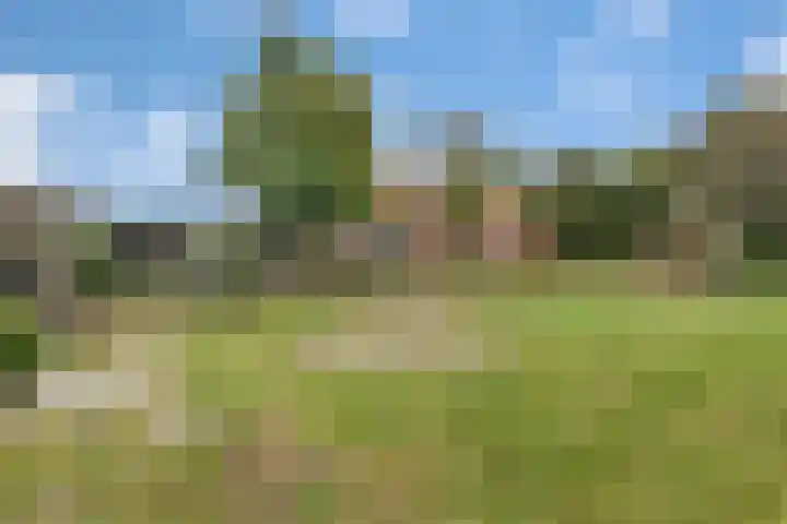 Handelsweg 20 Nijverdal thumbnail 26