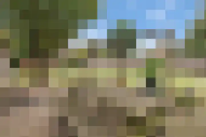 Handelsweg 20 Nijverdal thumbnail 33