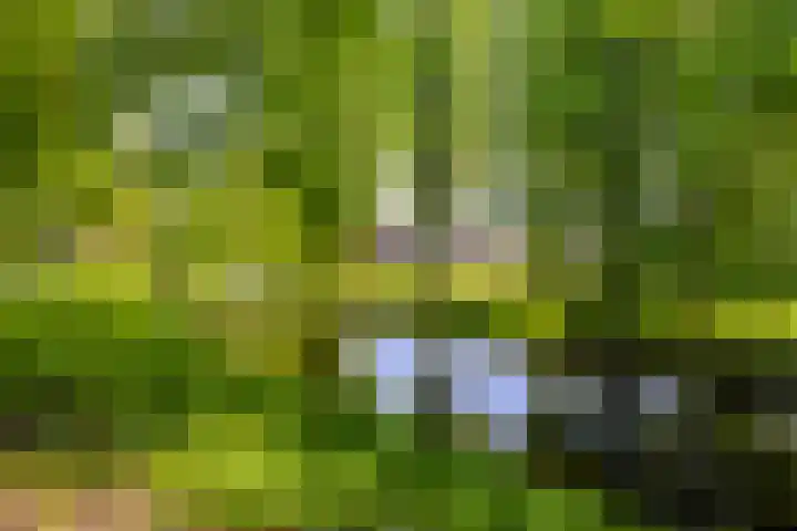 Handelsweg 26 Harderwijk thumbnail 29
