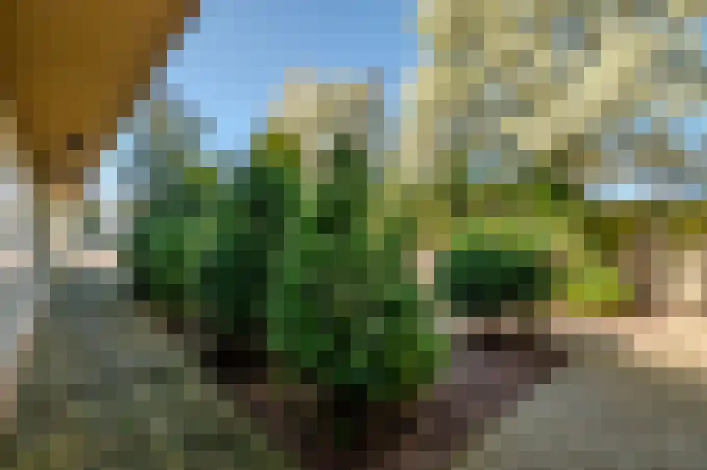 Handelsweg 3 Vlissingen thumbnail 23
