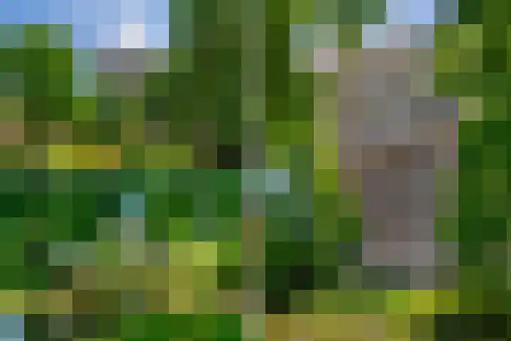 Handelsweg 39 18 Amstelveen thumbnail 28