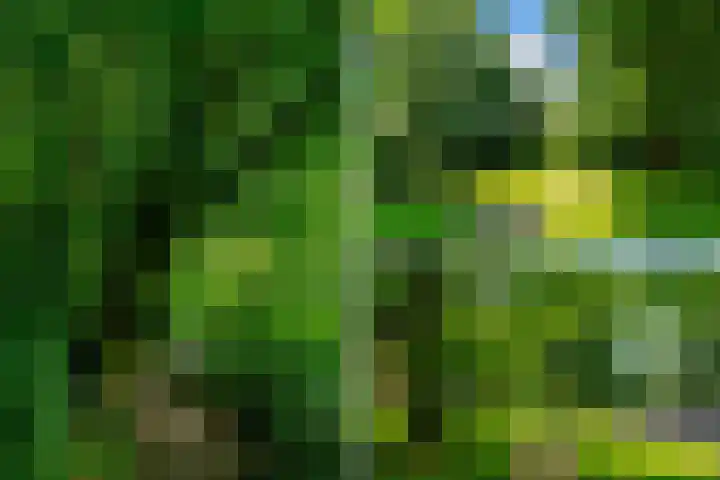 Handelsweg 39 18 Amstelveen thumbnail 30