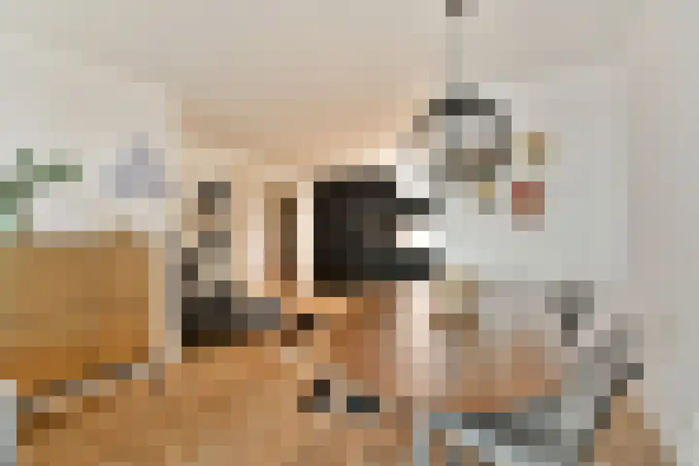 Handelsweg 39 31 Amstelveen thumbnail 16