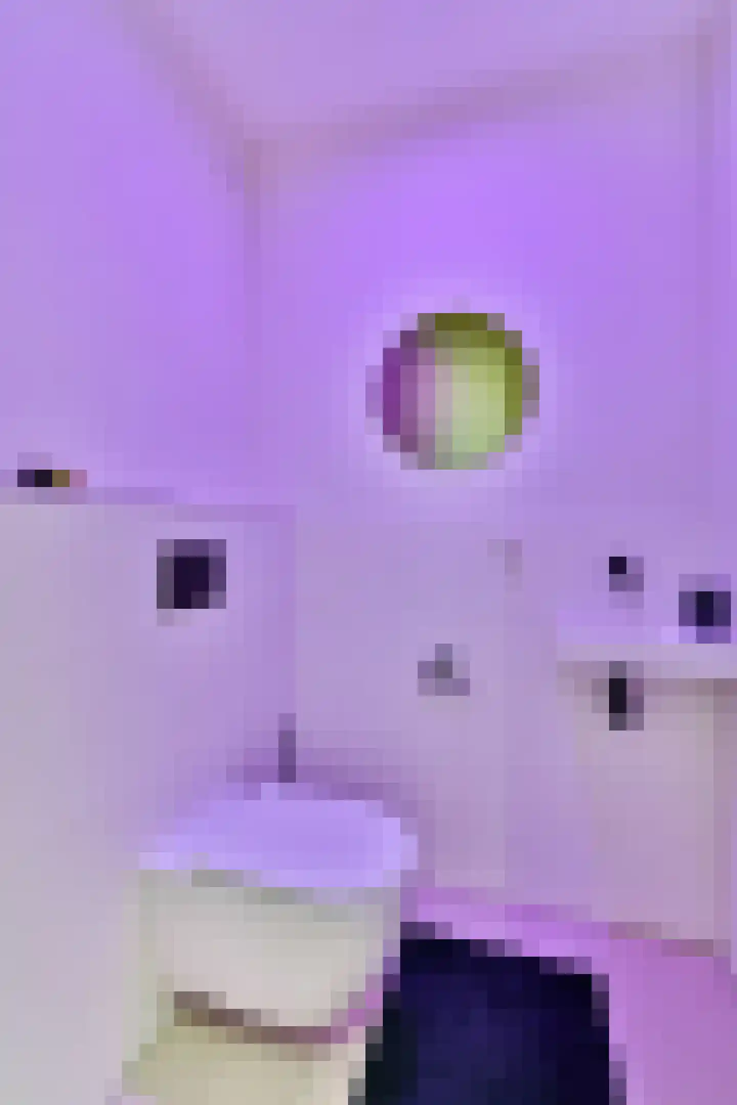Handelsweg 39 31 Amstelveen thumbnail 34