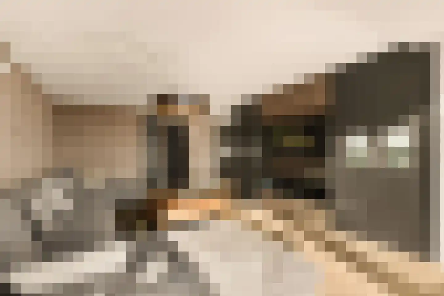 Handelsweg 39 37 Amstelveen thumbnail 14