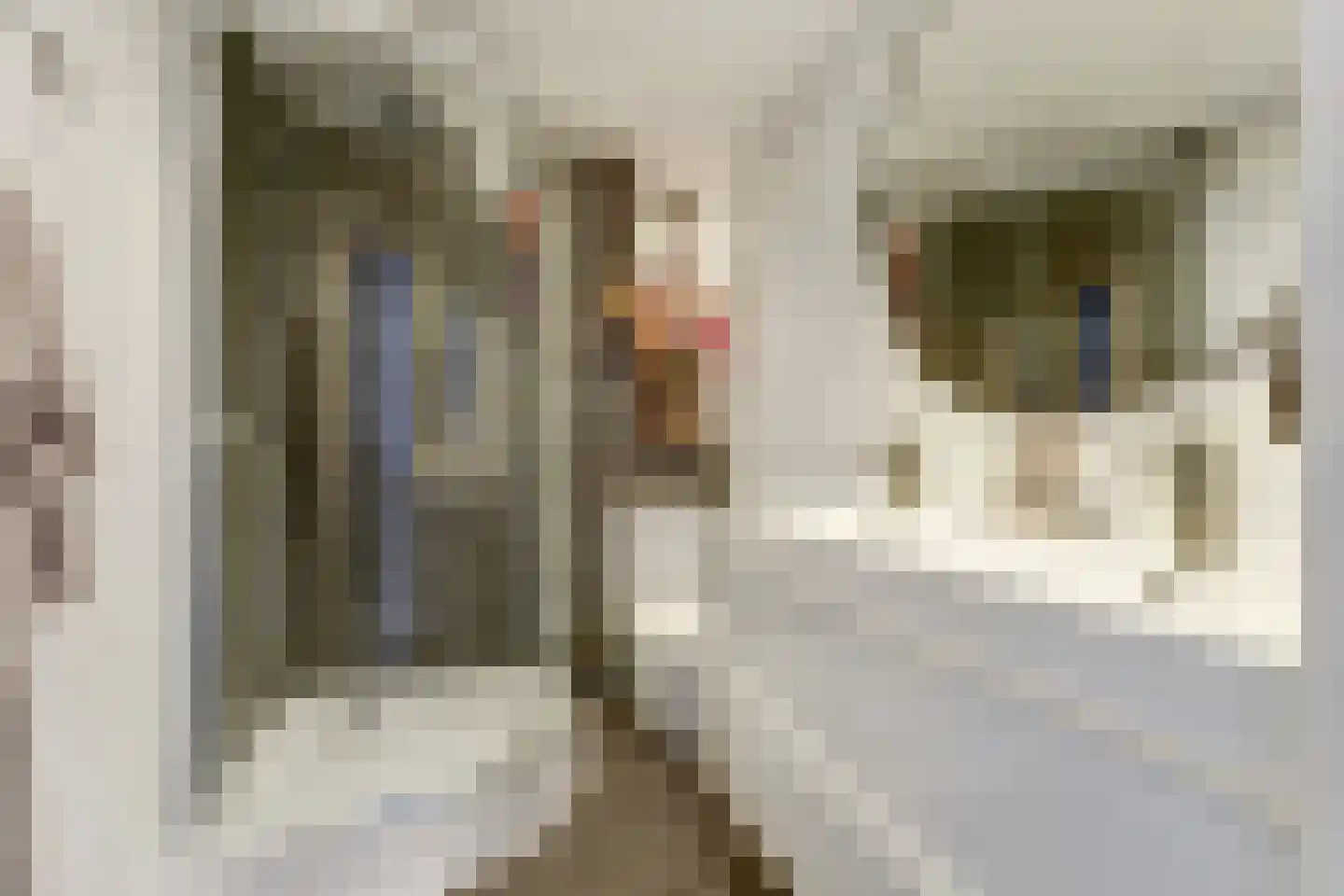 Handelsweg 5 Harderwijk thumbnail 25