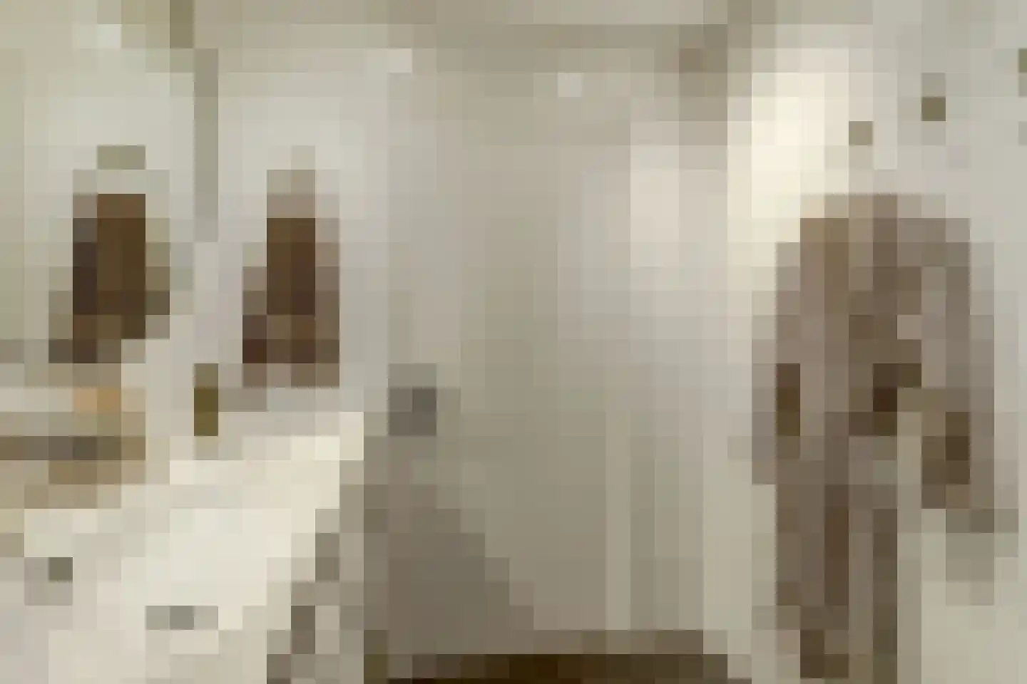 Handelsweg 5 Harderwijk thumbnail 27