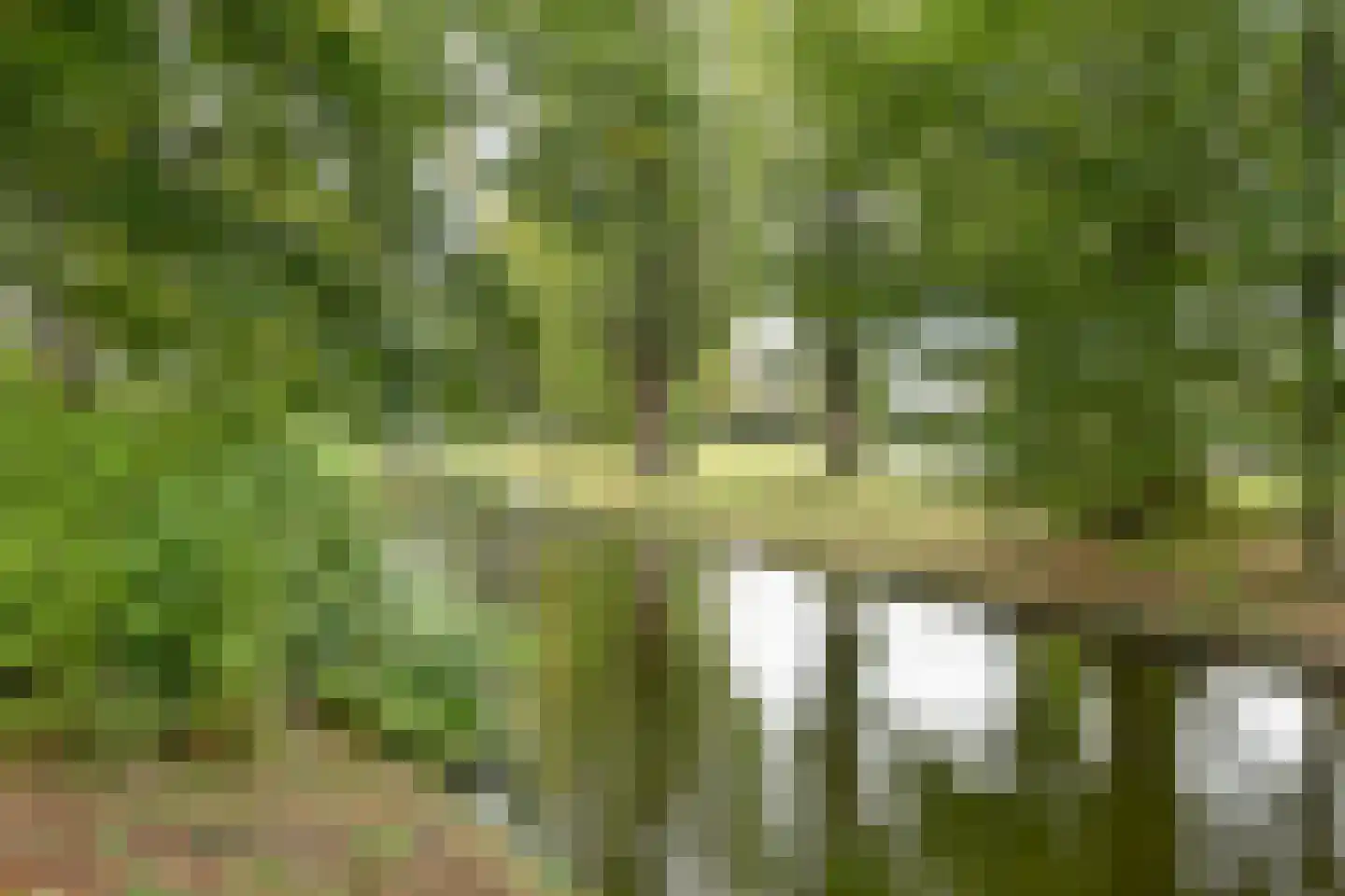 Handelsweg 5 Harderwijk thumbnail 36