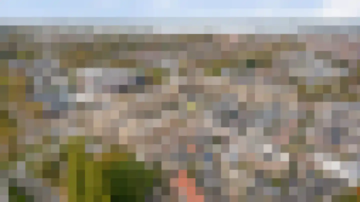 Handelsweg 5 Harderwijk thumbnail 38