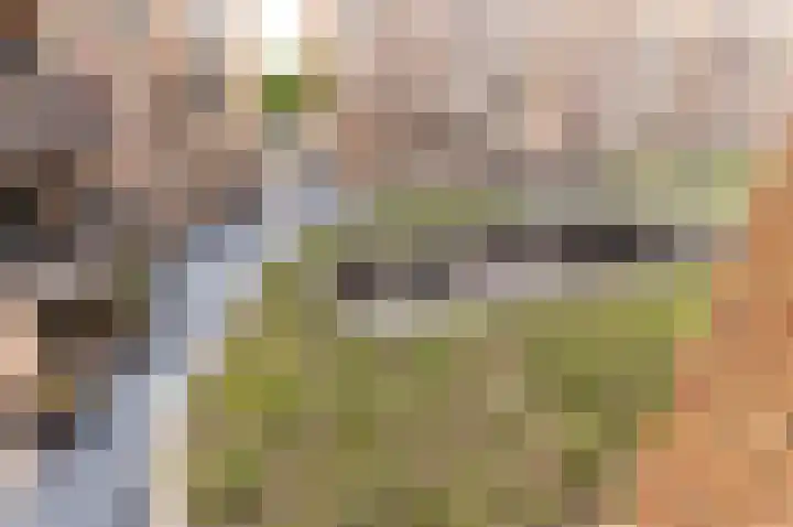 Handelsweg 6 A Harderwijk thumbnail 37