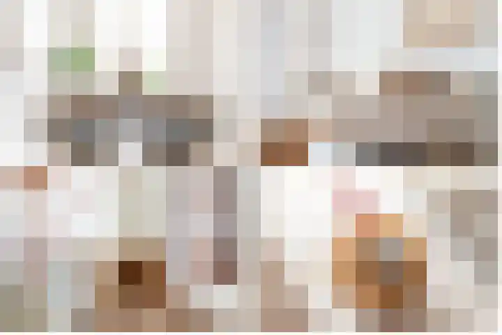 Handelsweg 6 Harderwijk thumbnail 16