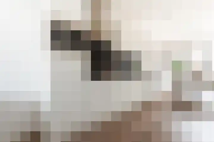 Handelsweg 6 Harderwijk thumbnail 8