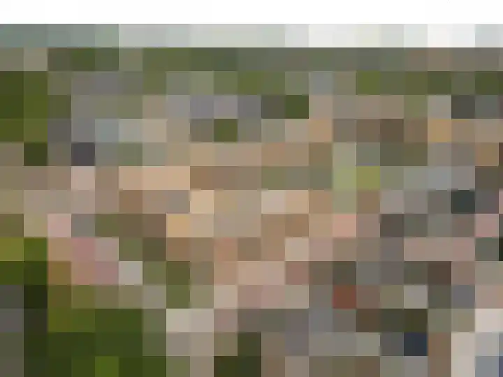 Handelsweg 8 A Harderwijk thumbnail 39