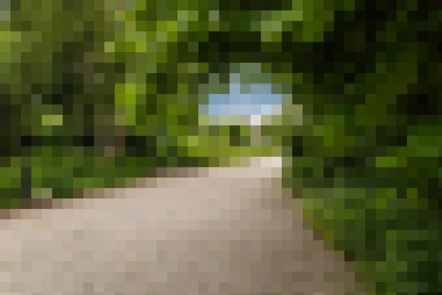 Handerweg 1 A 10 Eenrum thumbnail 11