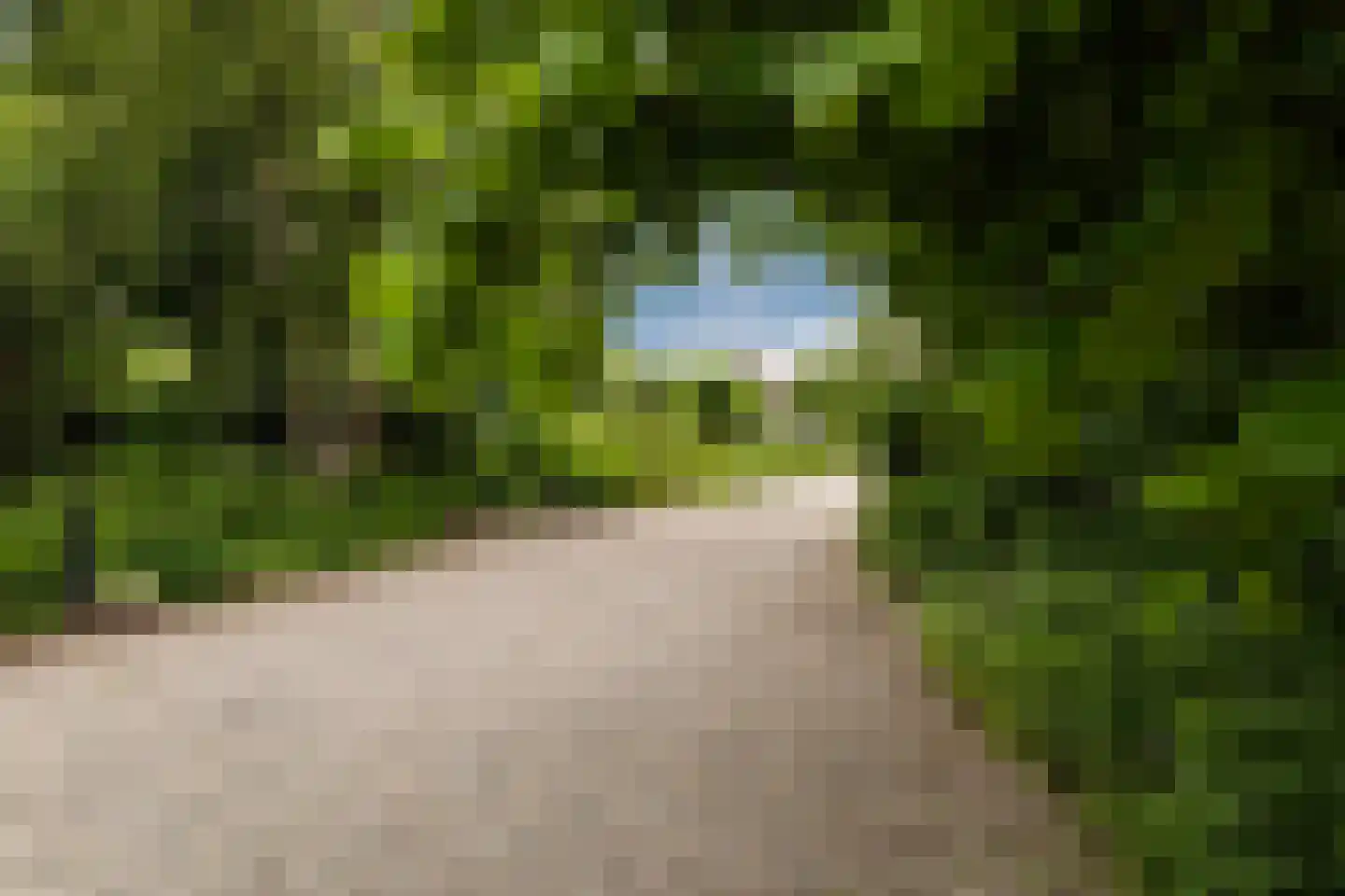 Handerweg 1 A 10 Eenrum thumbnail 11