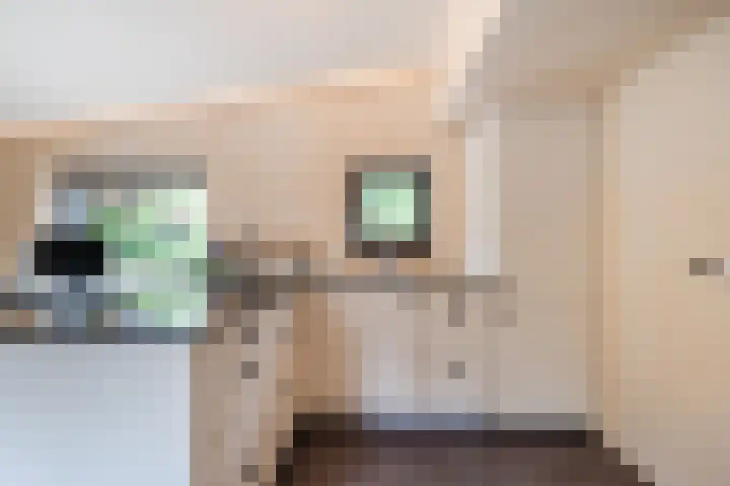 Handerweg 1 A 10 Eenrum thumbnail 22