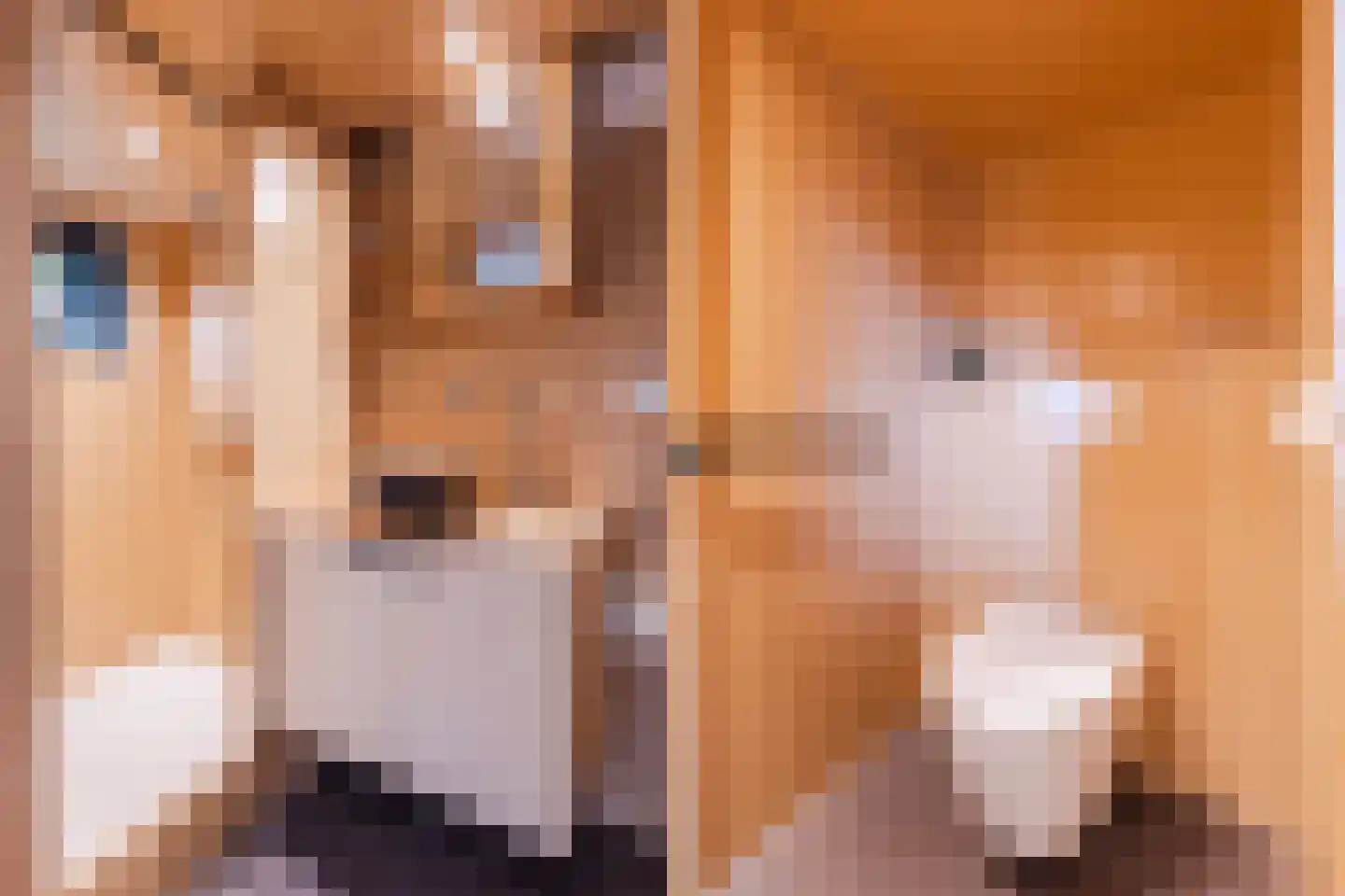 Handerweg 1 A 10 Eenrum thumbnail 30