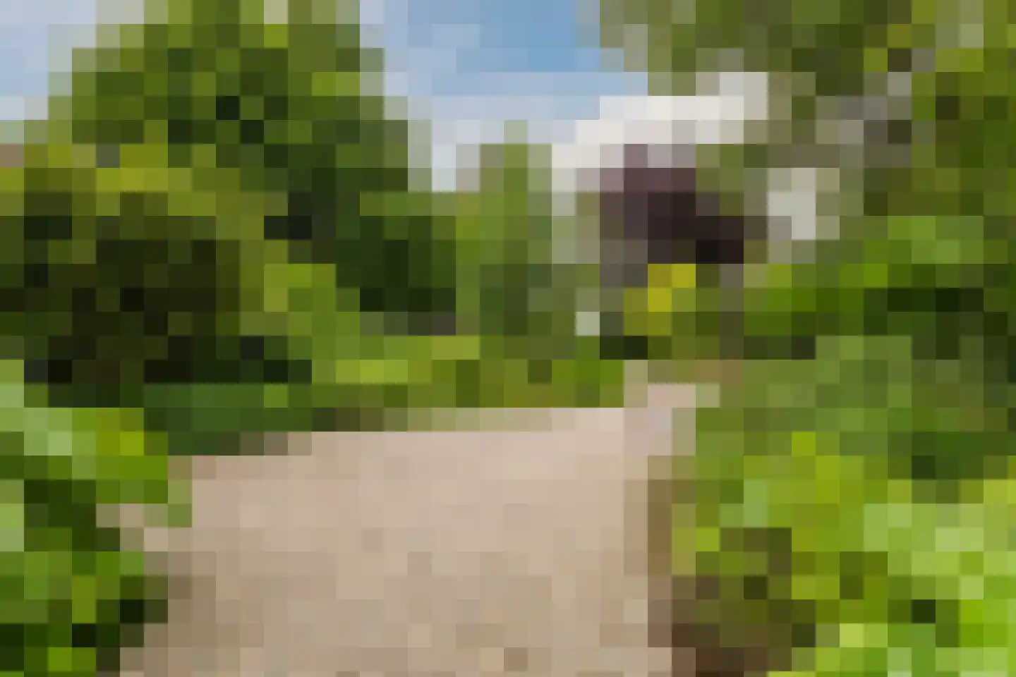 Handerweg 1 A 10 Eenrum thumbnail 33