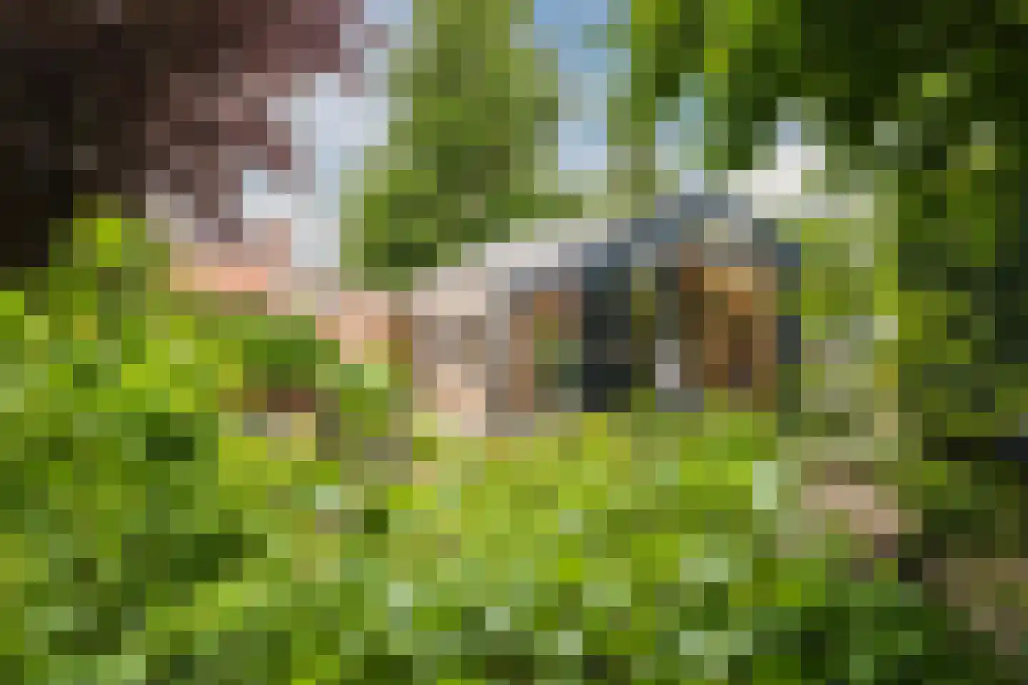 Handerweg 1 A 10 Eenrum thumbnail 34