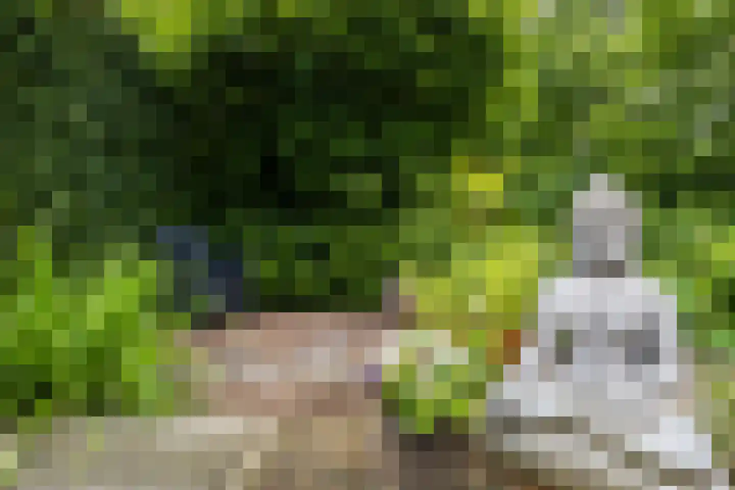 Handerweg 1 A 10 Eenrum thumbnail 35