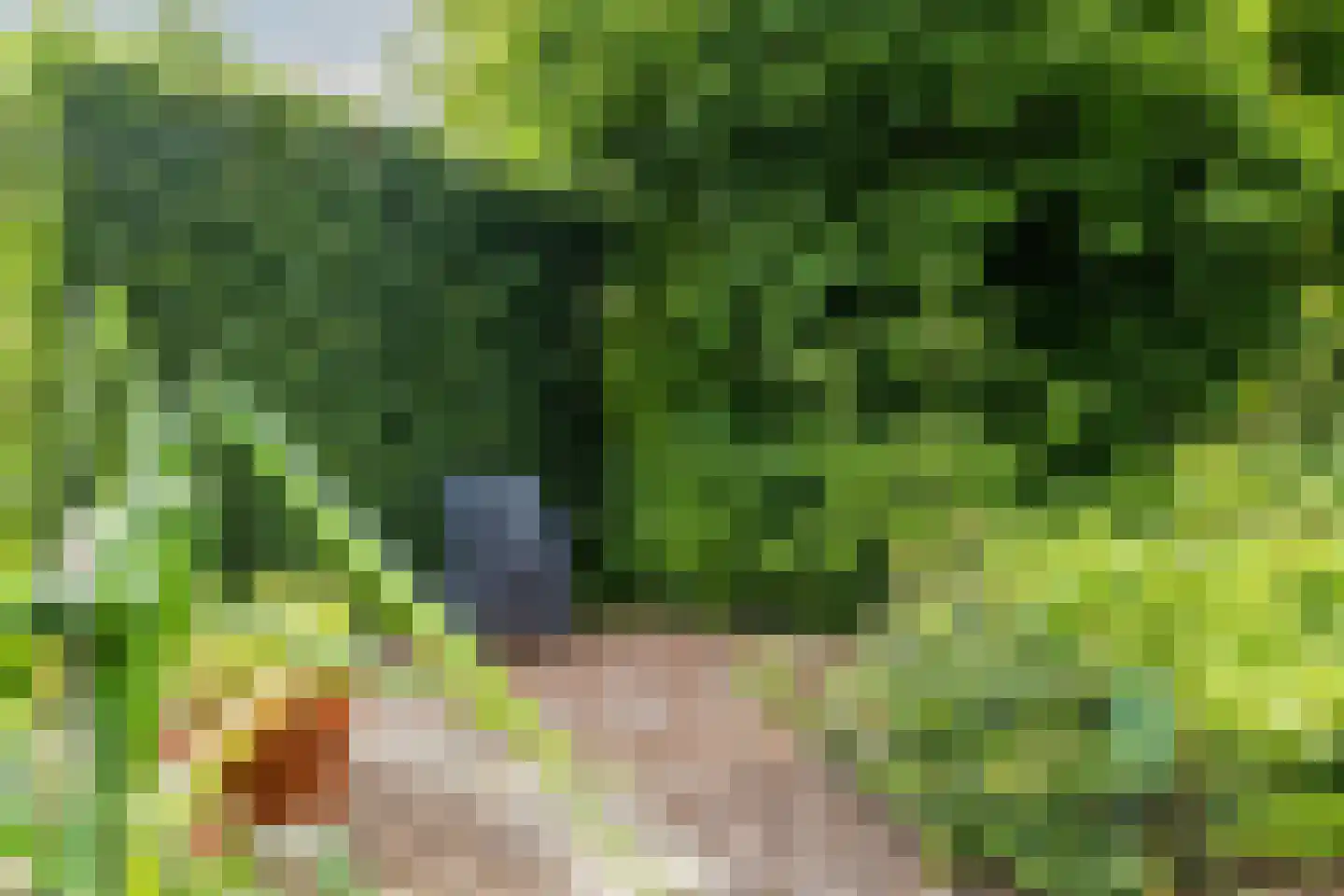 Handerweg 1 A 10 Eenrum thumbnail 36