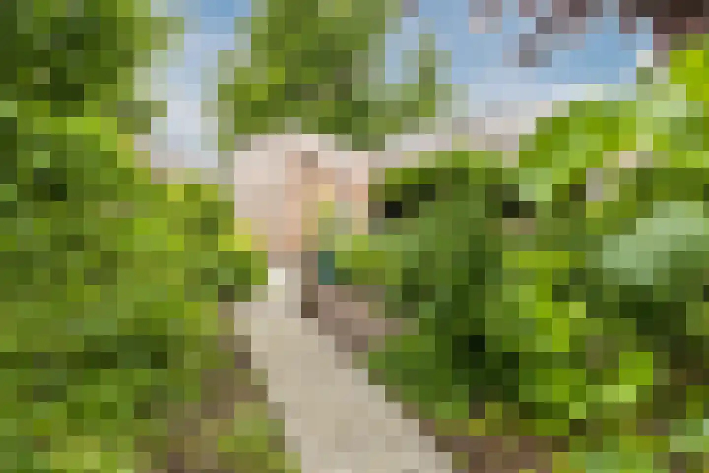 Handerweg 1 A 10 Eenrum thumbnail 37