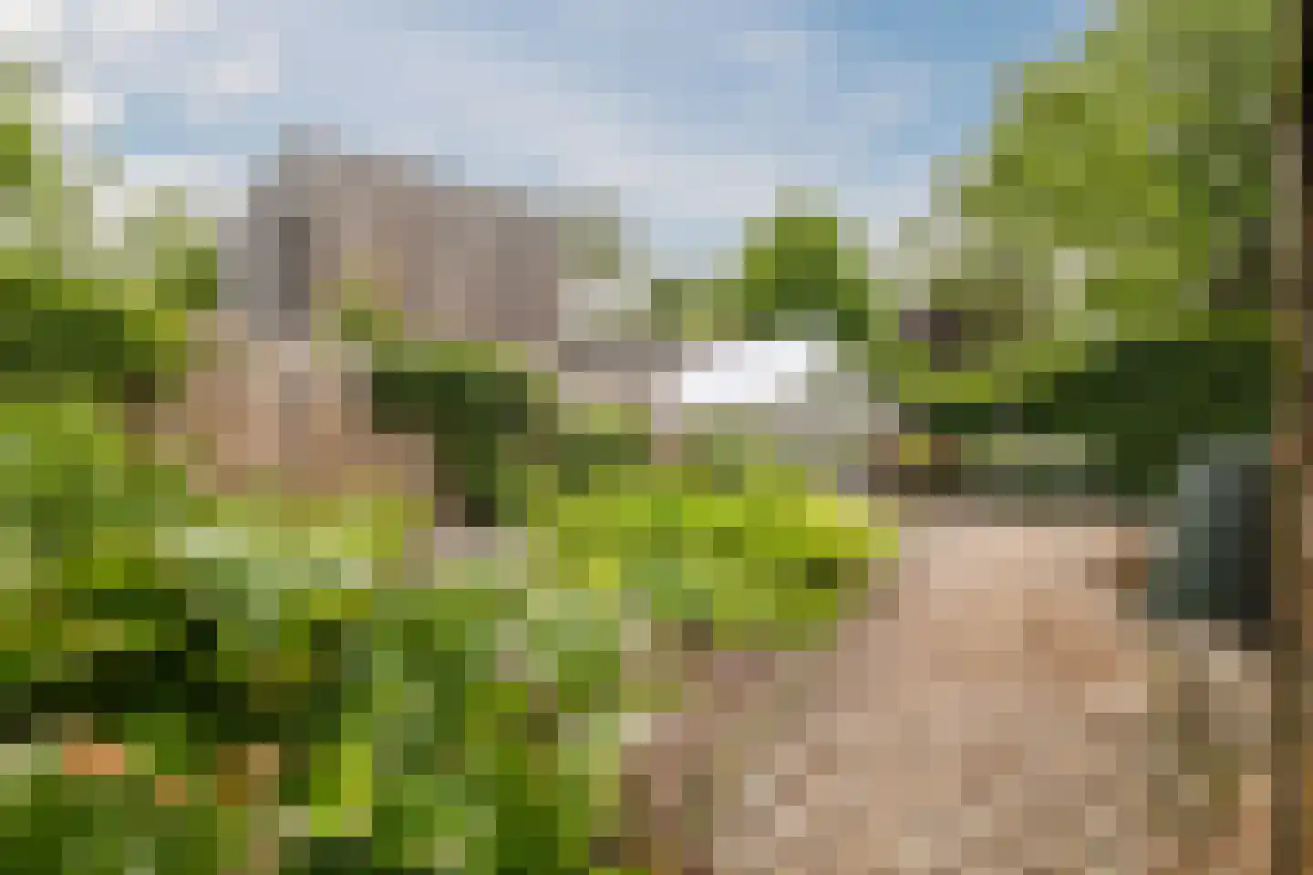 Handerweg 1 A 10 Eenrum thumbnail 38