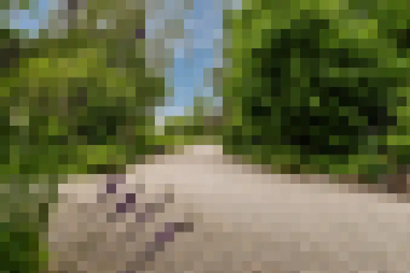 Handerweg 1 A 10 Eenrum thumbnail 6