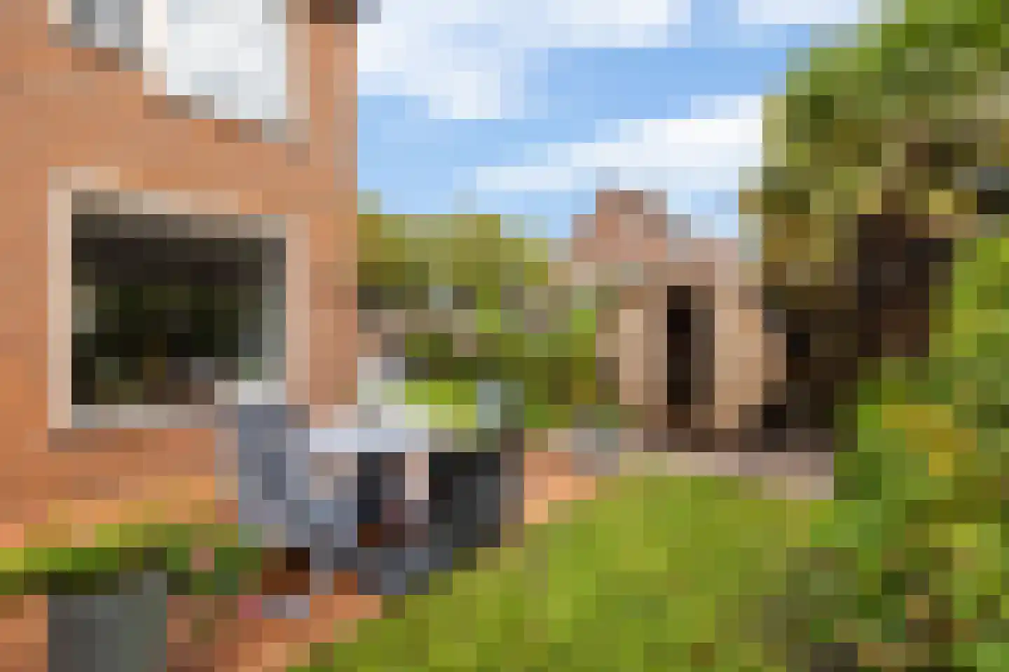 Handlog 1 Hellevoetsluis thumbnail 25