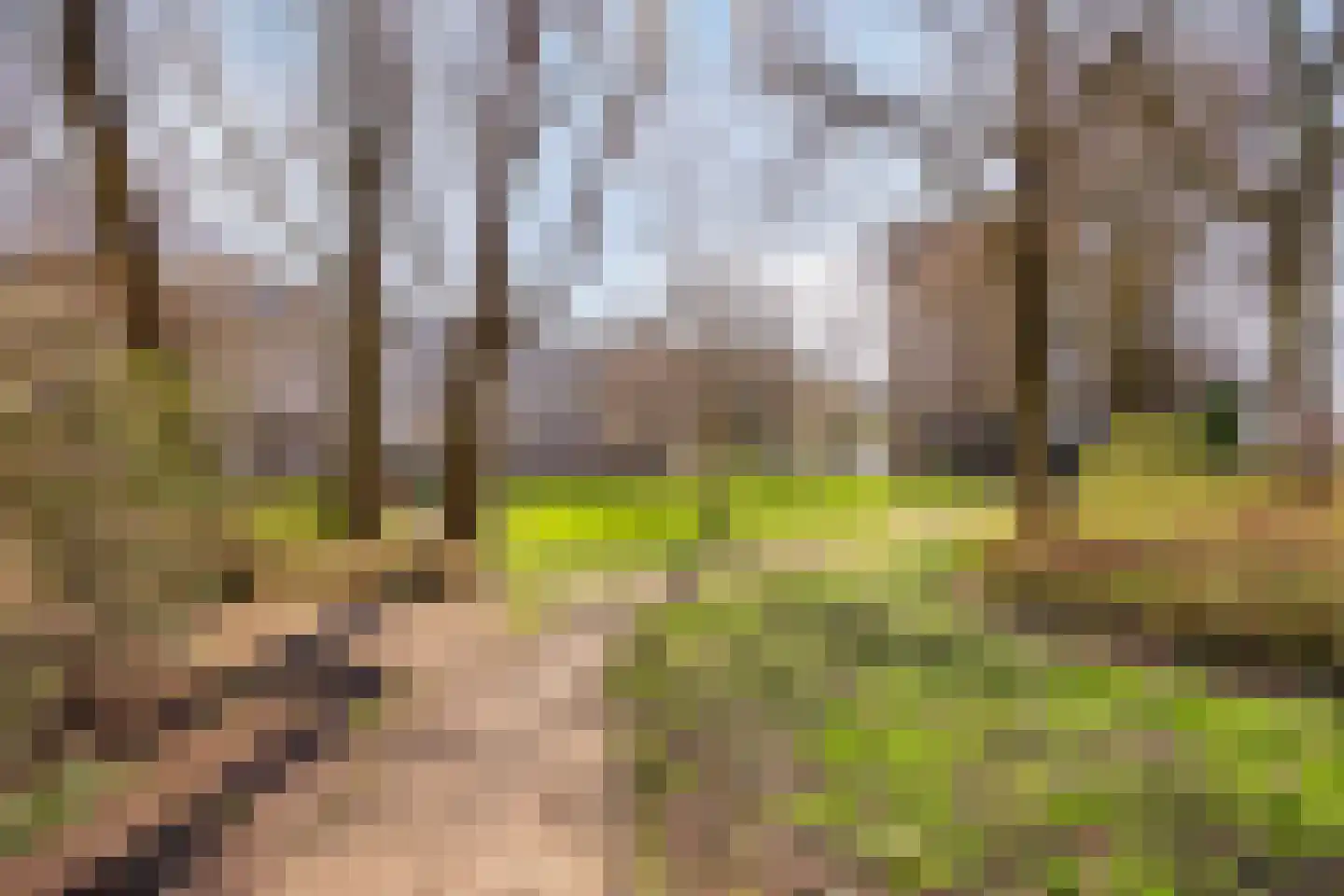 Handweg 135 Amstelveen thumbnail 35