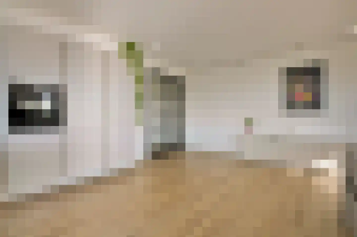 Handweghof 17 Amstelveen thumbnail 17